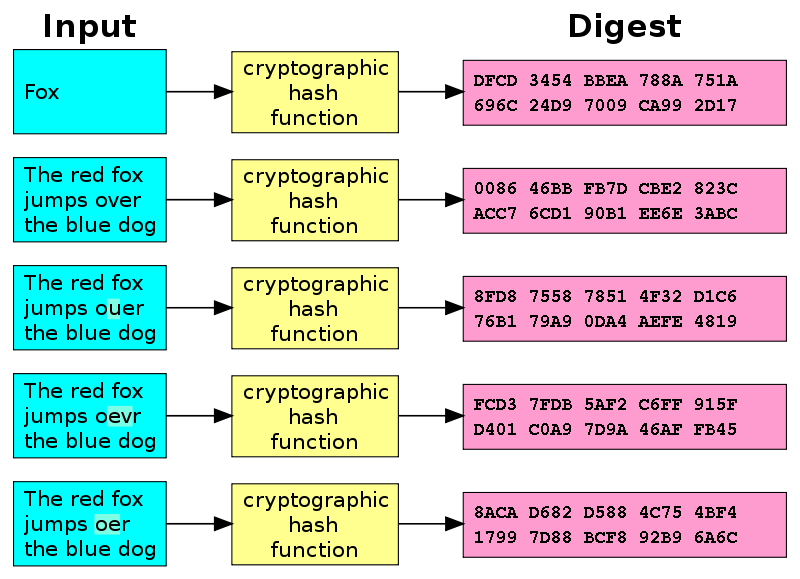 Cryptocurrency Terms to Know for Intermediate Users