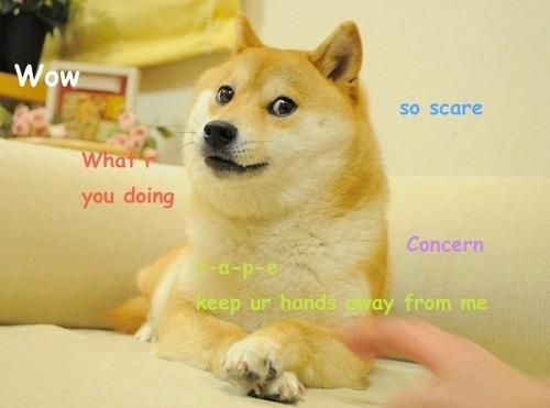 The original Doge meme, which would soon be adapted countless times.